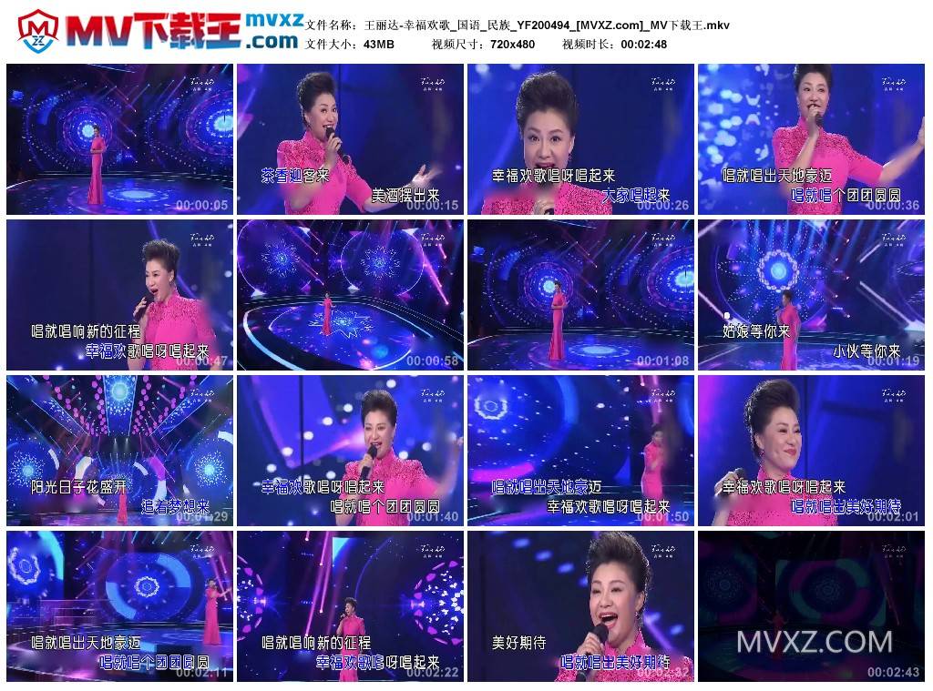 王丽达-幸福欢歌_国语_民族_YF200494